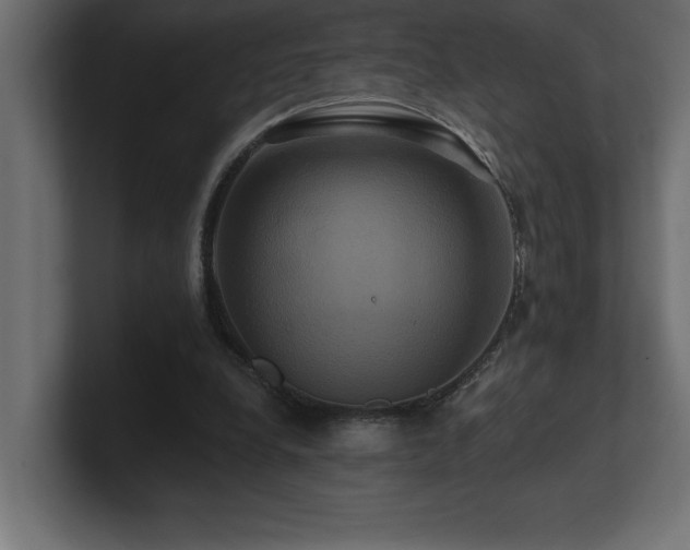 X0000100920248200806241350