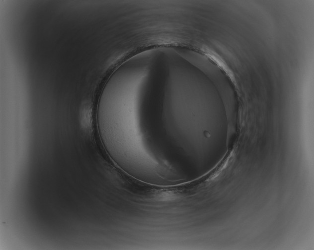 X0000100920249200806241350