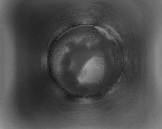 X0000100920250200806241350