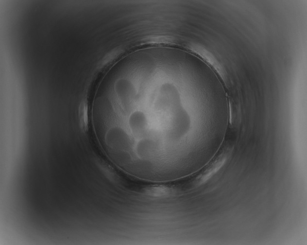 X0000100920253200806241350