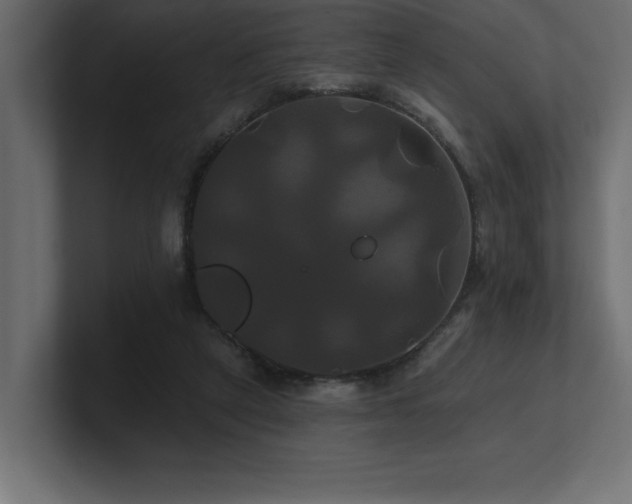 X0000100920257200806241350