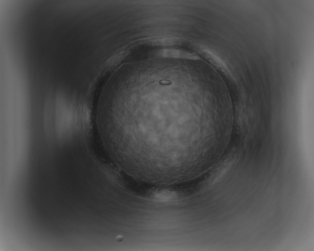 X0000100920258200806241350