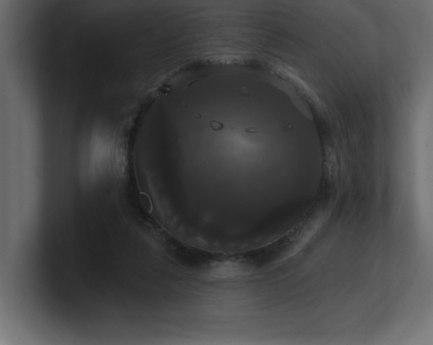 X0000100920259200806241350