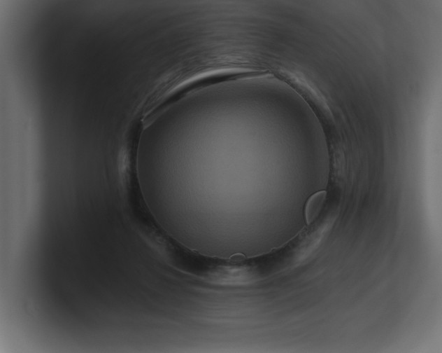 X0000100920260200806241350