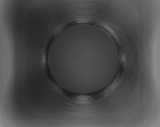 X0000100920261200806241350