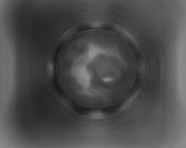 X0000100920262200806241350