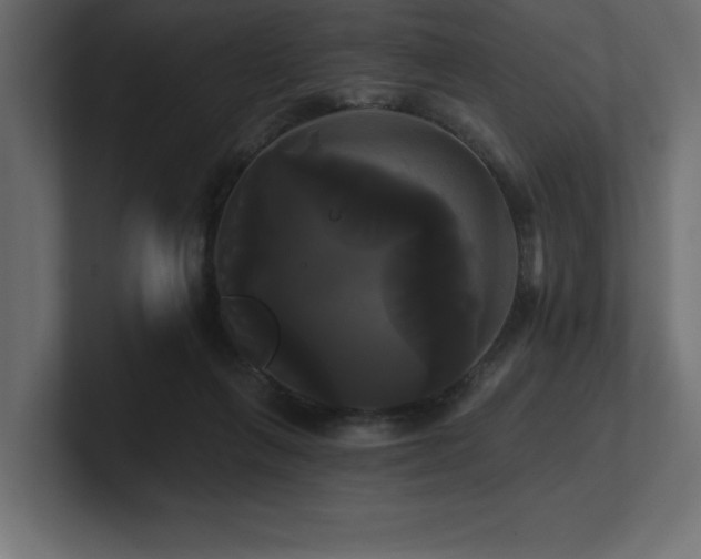 X0000100920263200806241350