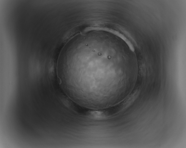 X0000100920265200806241350