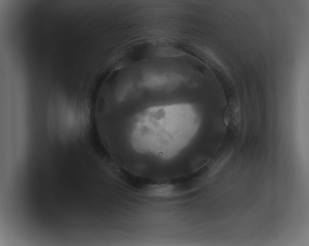 X0000100920266200806241350