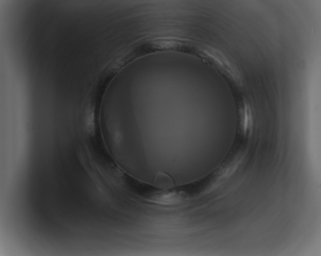 X0000100920267200806241350