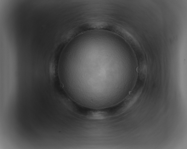 X0000100920268200806241350