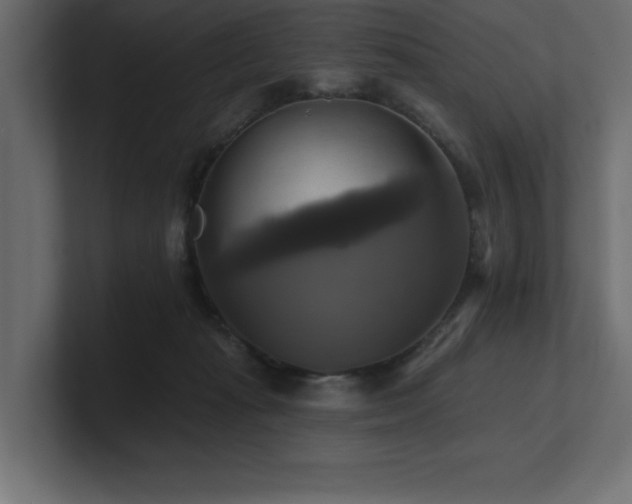 X0000100920269200806241350