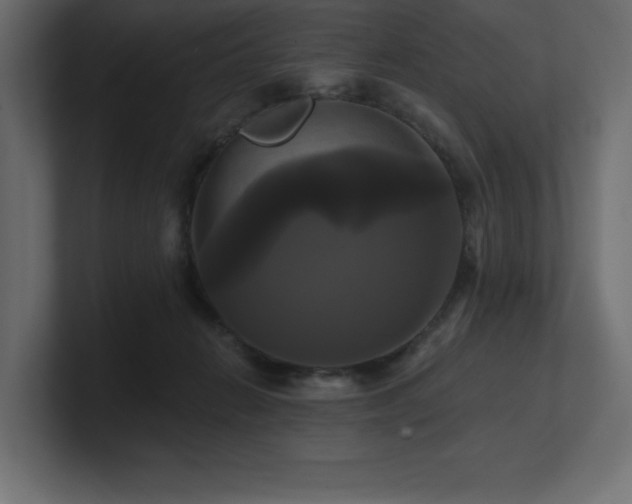 X0000100920270200806241350