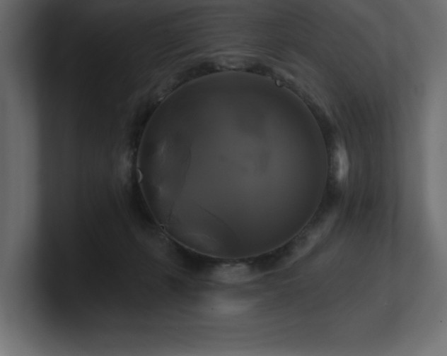 X0000100920271200806241350