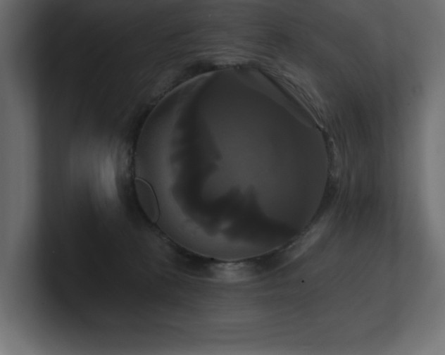 X0000100920273200806241350