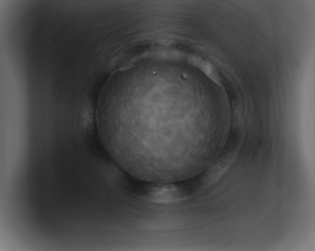 X0000100920274200806241350