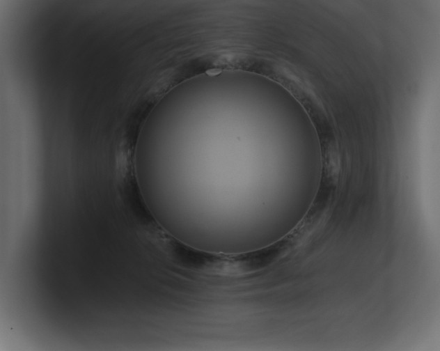 X0000100920276200806241350