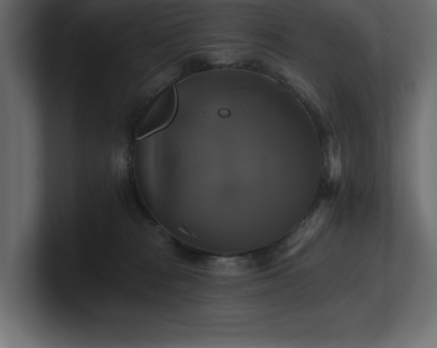 X0000100920277200806241350