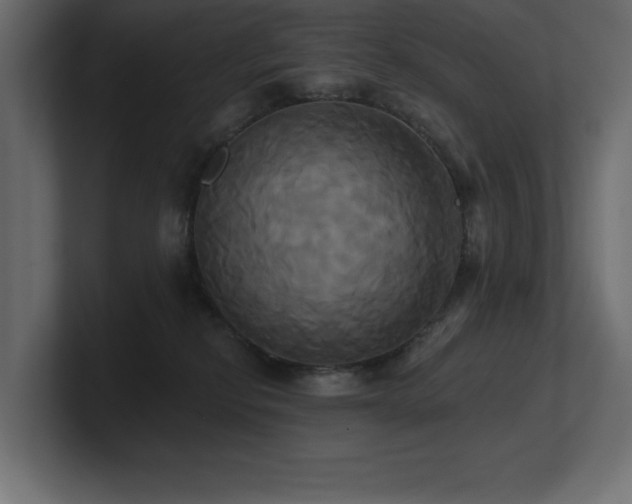 X0000100920278200806241350