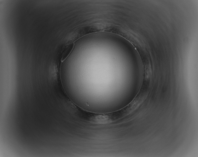 X0000100920279200806241350