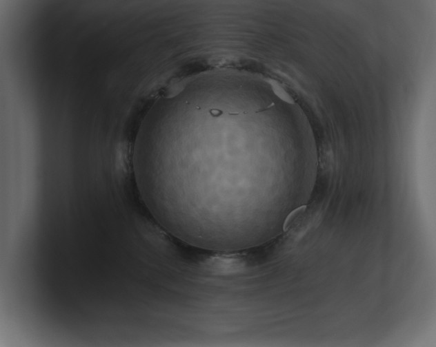 X0000100920280200806241350