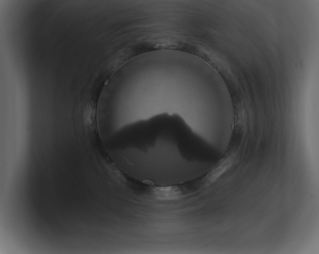 X0000100920281200806241350