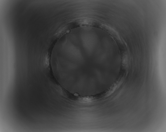 X0000100920282200806241350