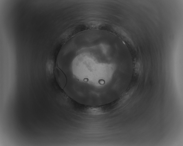 X0000100920283200806241350