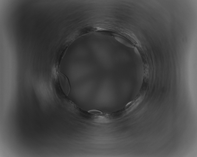 X0000100920285200806241350