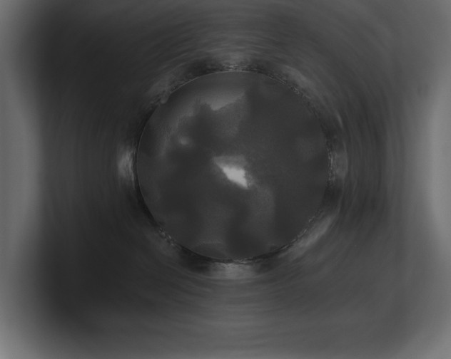 X0000100920286200806241350