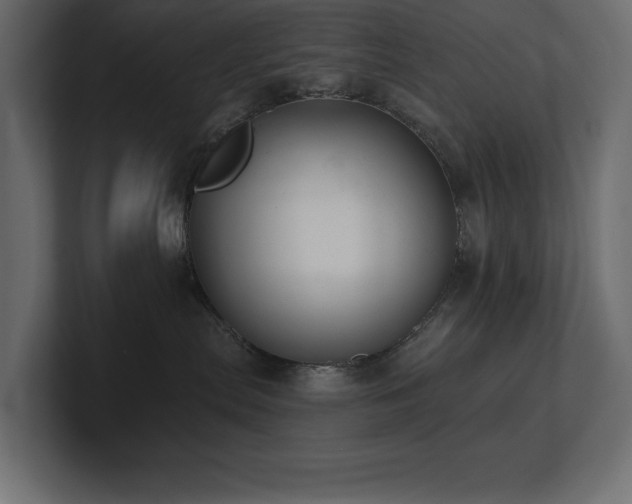 X0000100920287200806241350