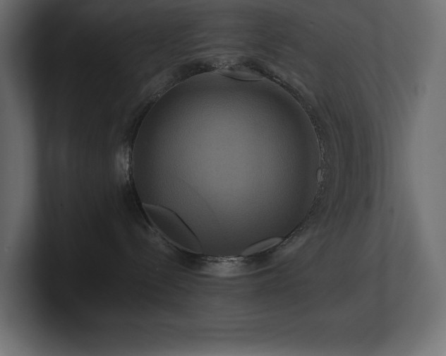 X0000100920288200806241350