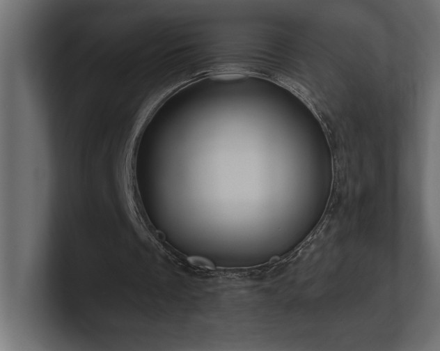 X0000100920289200806241350