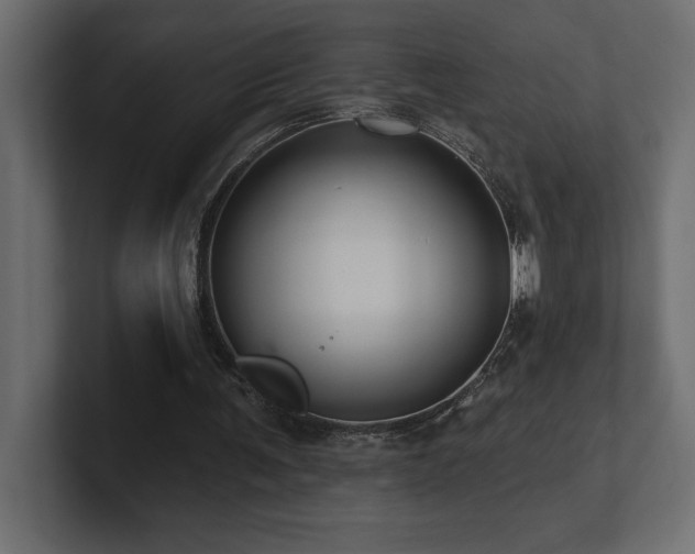 X0000100920291200806241350