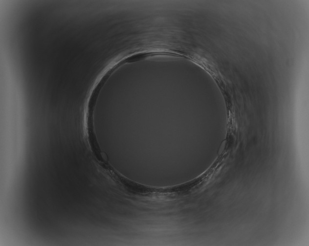 X0000100920292200806241350