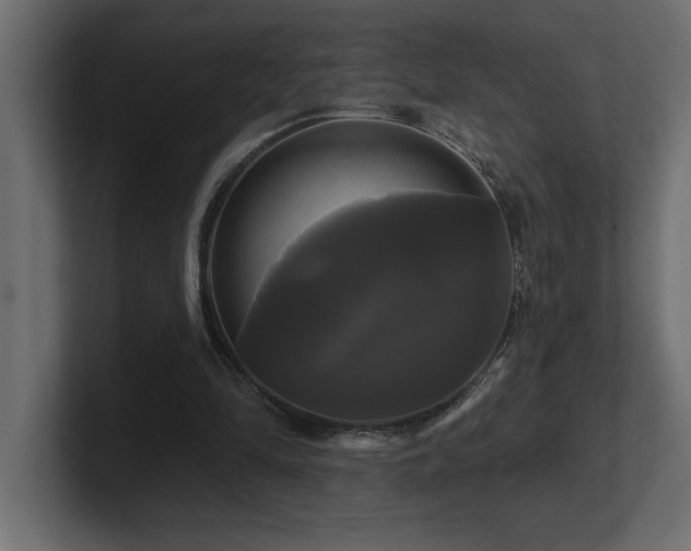 X0000100920294200806241350