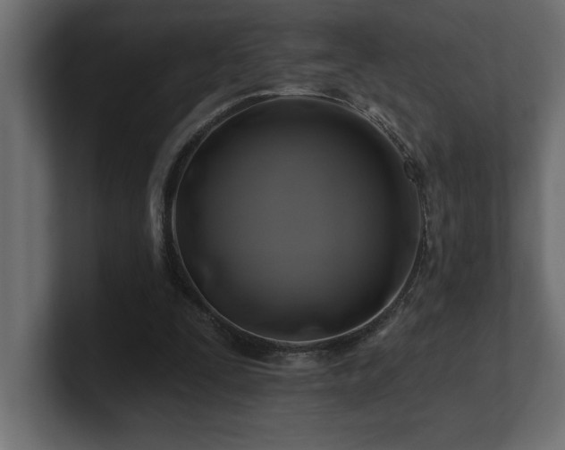 X0000100920295200806241350