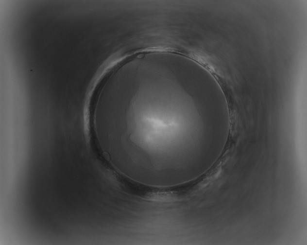 X0000100920296200806241350