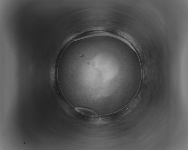 X0000100920297200806241350