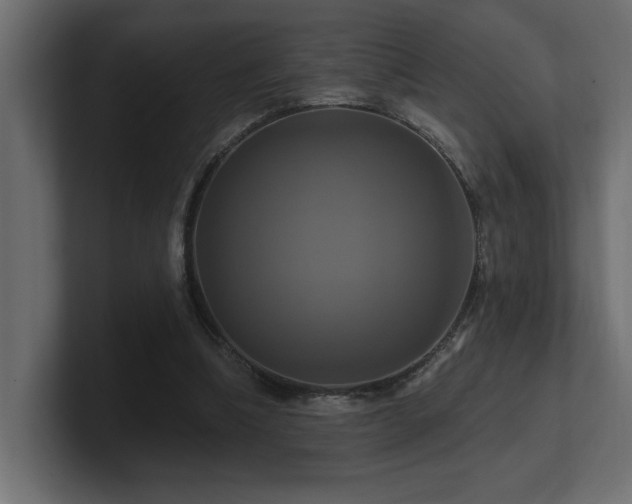 X0000100920298200806241350