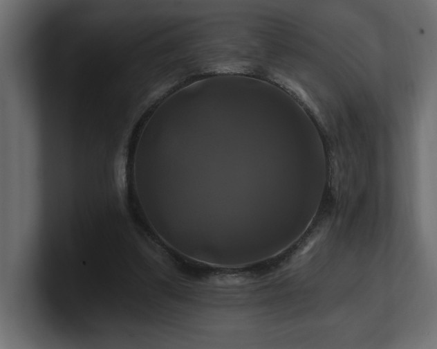 X0000100920299200806241350