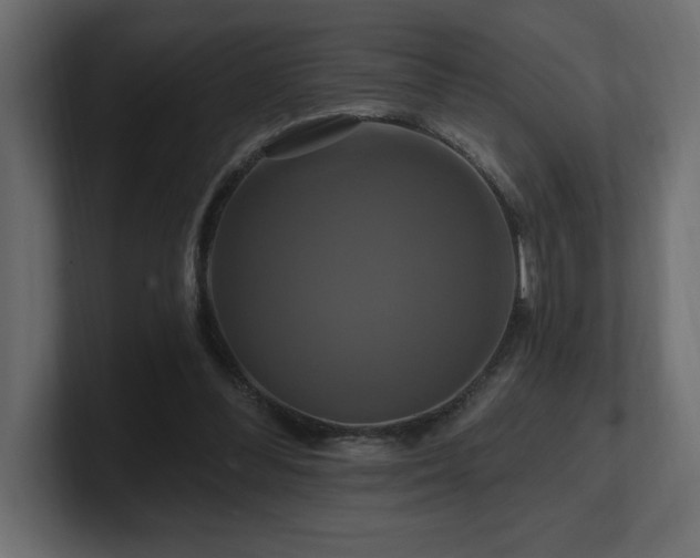 X0000100920300200806241350