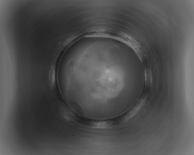 X0000100920301200806241350