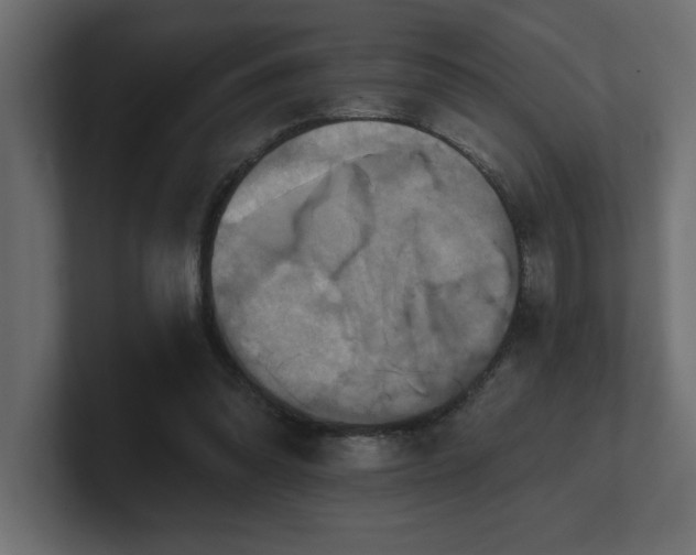 X0000100920302200806241350