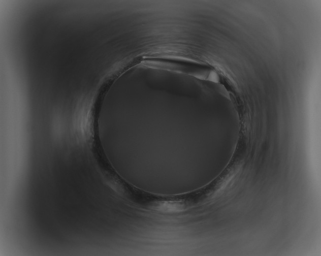 X0000100920303200806241350