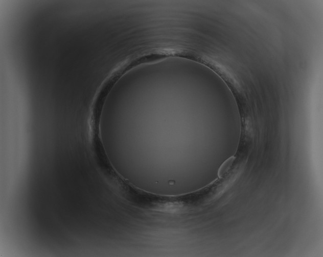 X0000100920304200806241350