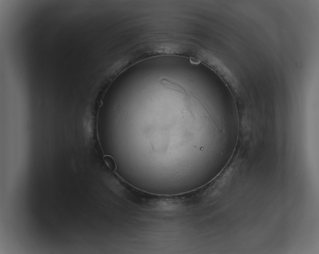 X0000100920305200806241349