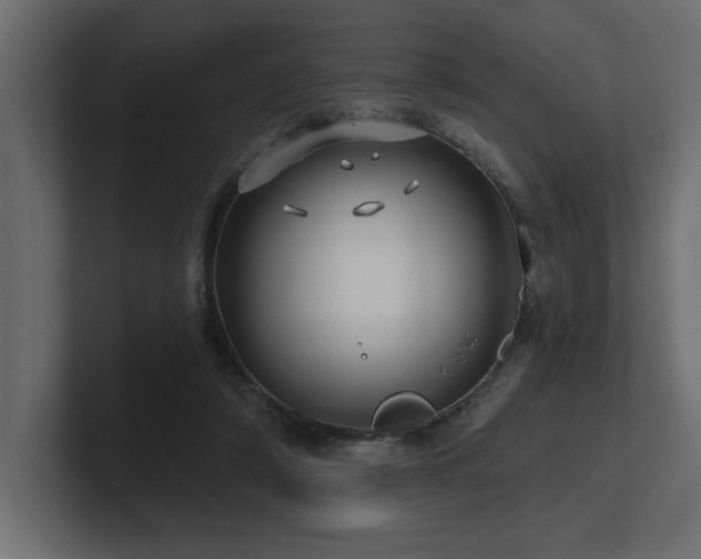 X0000100920306200806241349