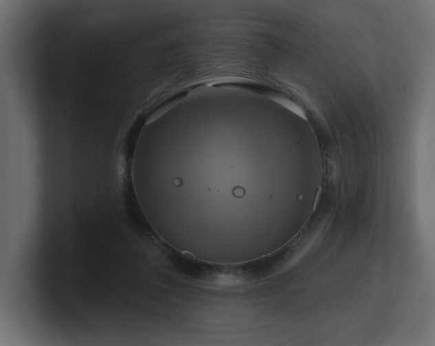 X0000100920308200806241349