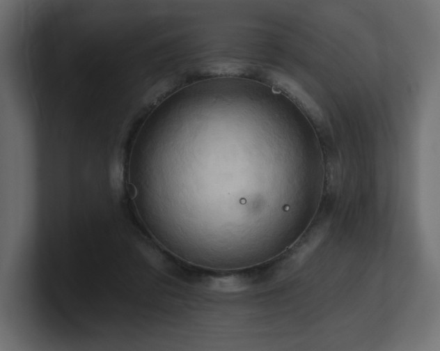 X0000100920309200806241349